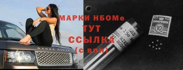 мет Алексин