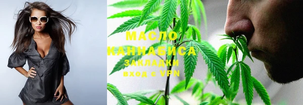 мет Алексин