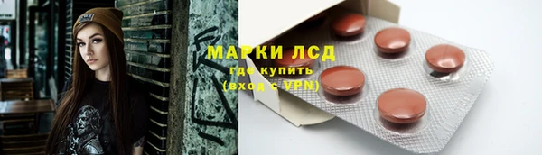 индика Алексеевка