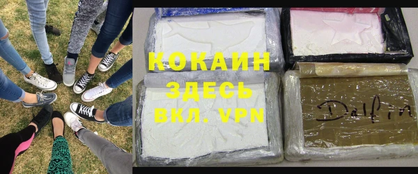 индика Алексеевка