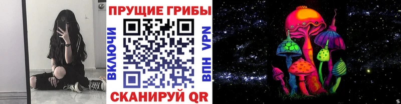 Галлюциногенные грибы ЛСД  купить наркотики сайты  blacksprut ссылка  Чайковский 
