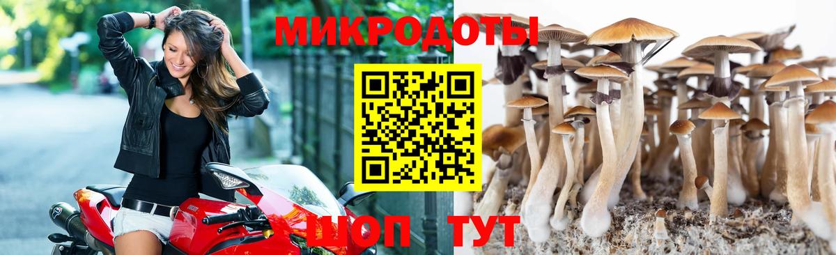 Галлюциногенные грибы MAGIC MUSHROOMS  Вход с VPN  Чайковский  Псилоцибиновые грибы Magic Shrooms 