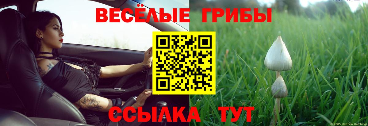 Галлюциногенные грибы Magic Shrooms Чайковский