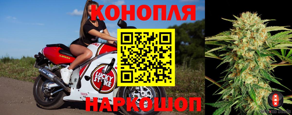 Каннабис Bruce Banner  Конопля планчик  Канабис семена  Чайковский  Бошки Шишки Bruce Banner  Вход с VPN 